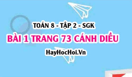 Bài 1 trang 73 Toán 8 Tập 2 Cánh Diều